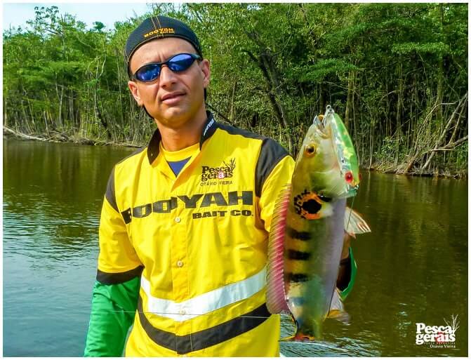 Tucunaré Açu Rio Uatumã Amazonas - Pescaria dos grandes Tucunarés nos Rios Uatumã, Abacate e Jatapu