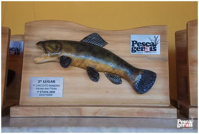 O 1º Circuito Mineiro Pesca de Traíra foi realizado no ano de 2008 na represa Várzea das Flores em BH