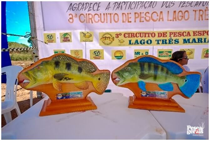 3_torneio_morada_nova_de_minas_pesca_gerais_2009 (47)
