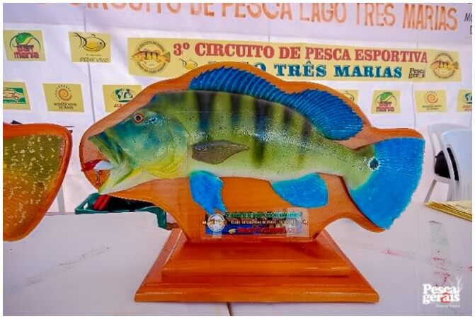 Troféu do 3º Circuito de Pesca Lago de Três Marias - Etapa Morada Nova de Minas - Out/2009