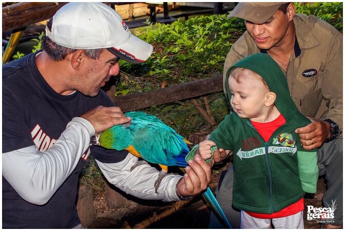 pescaria_pousada_ribeirão_do_boi_pesca_gerais (3)