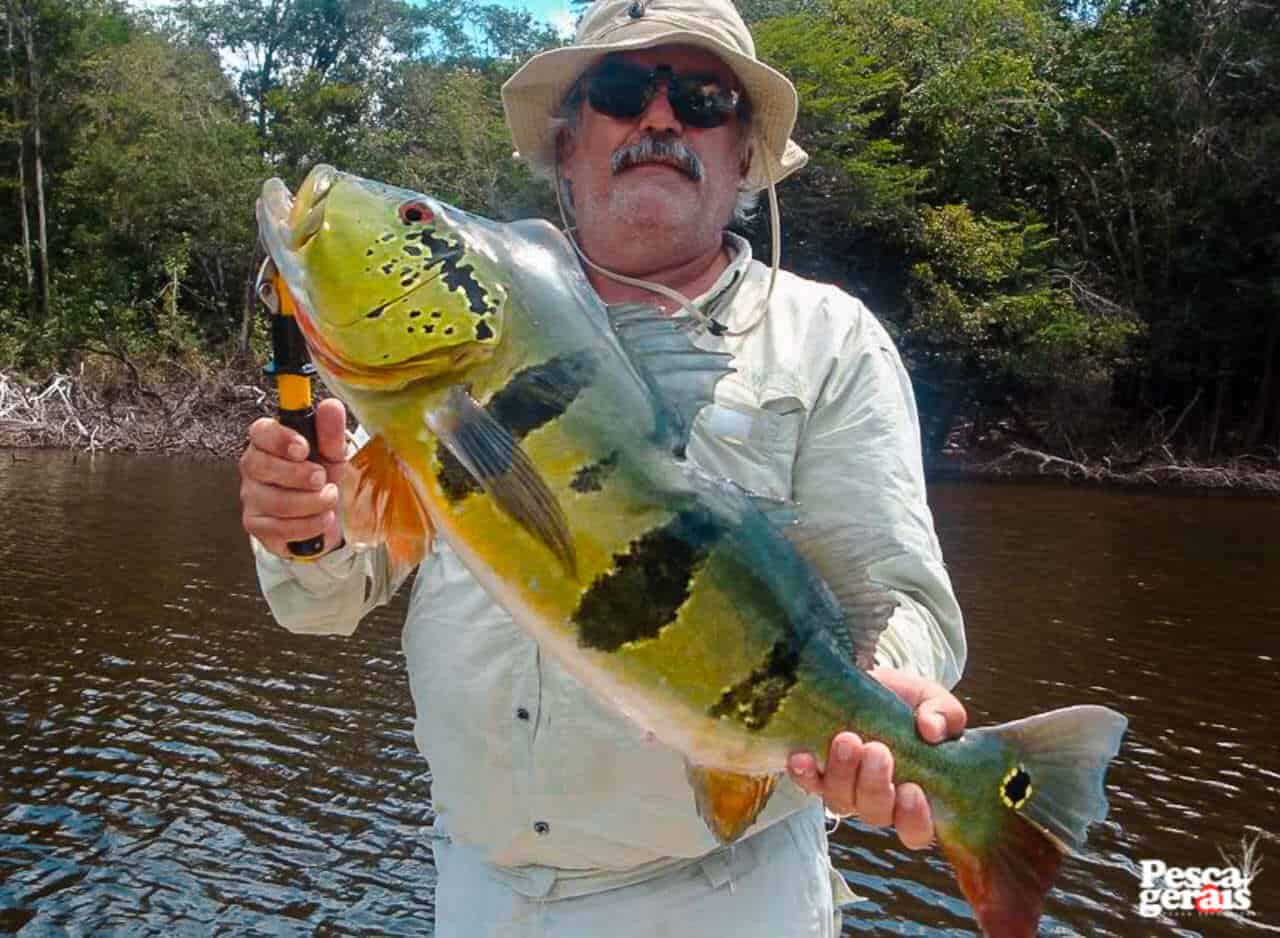 "mesmo tucunaré açu é capturado 2 vezes na pescaria do rio água boa em Roraima - pescador Otávio 01
