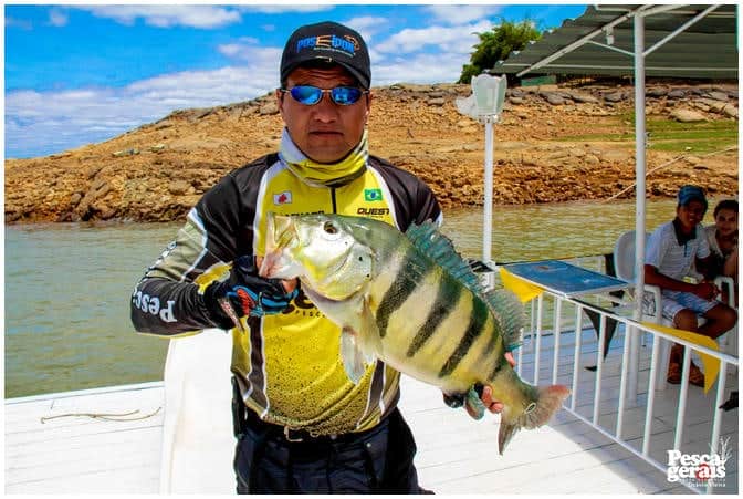 Torneio de Pesca ao Tucunaré realizado na Pousada Ribeirão do Boi em Três Marias - MG. Exemplares acima de 50cm medidos durante a competição.