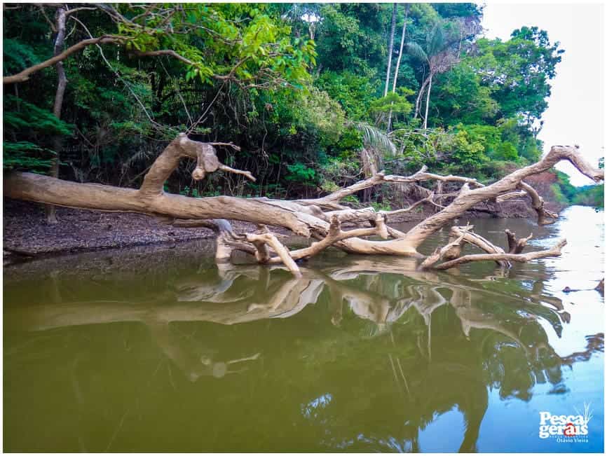 rio-sucunduri-amazonas-2015 (82)