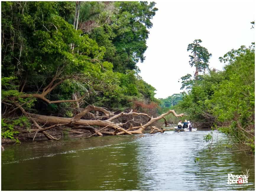 rio-sucunduri-amazonas-2015 (84)