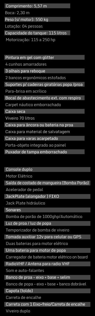 embarcação modelo bass boat no brasil