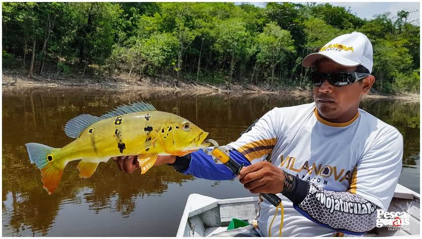 Pescaria de Tucunaré Pinima no Amazonas