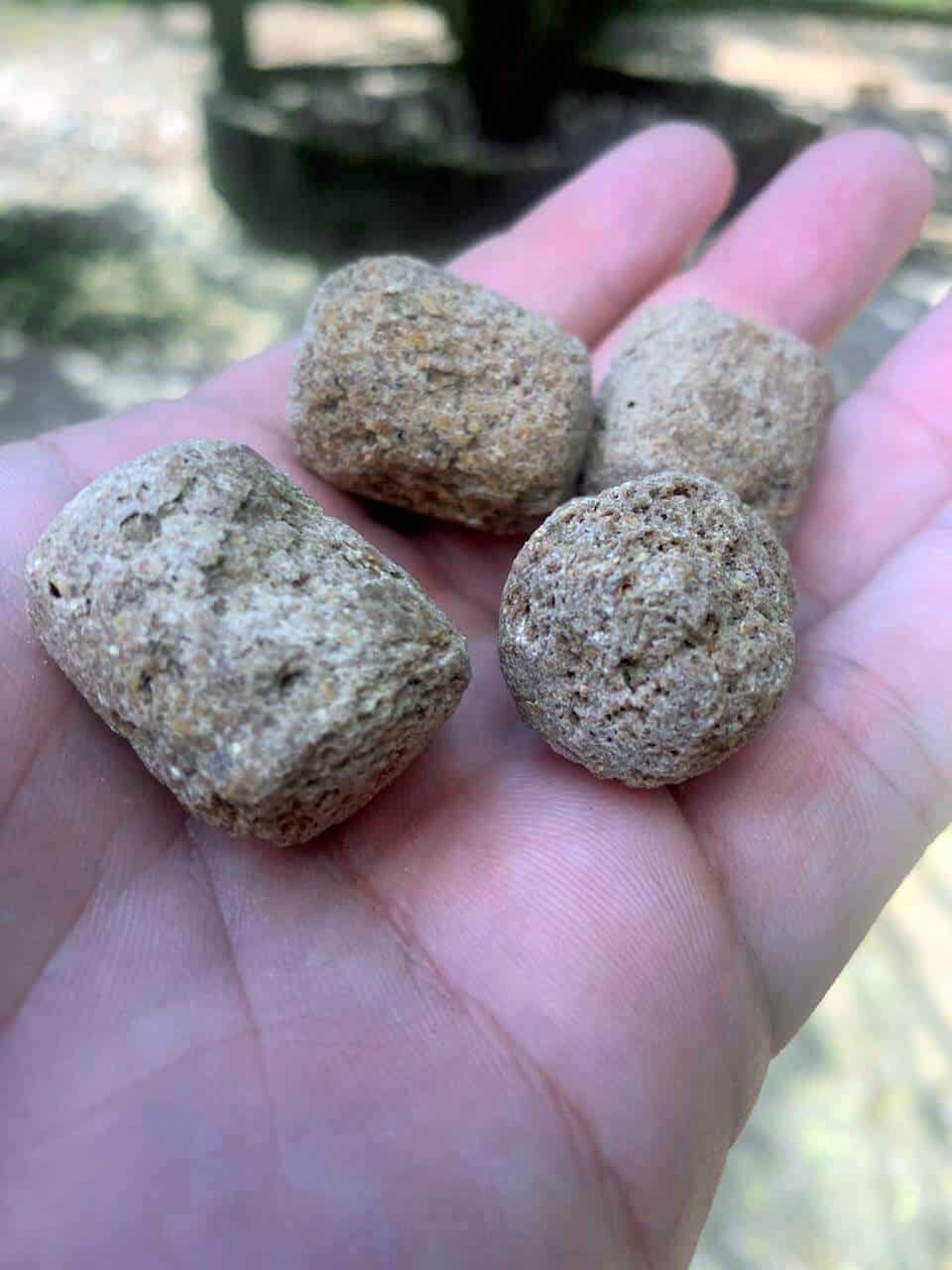 Pescaria de Tambacu com Ração Labina, discas e informações