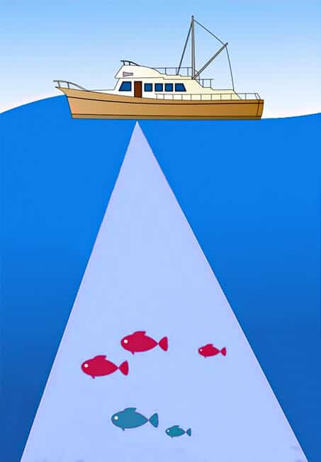 Localizar peixes no fundo com sonar