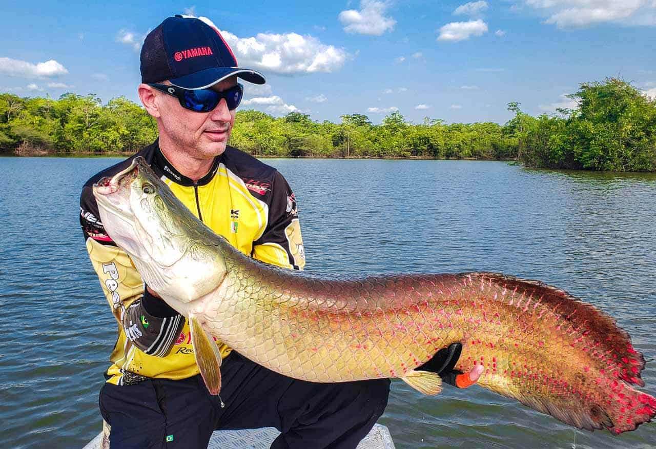 peixe pirarucu do rio sucunduri amazonas pescador otavio vieira