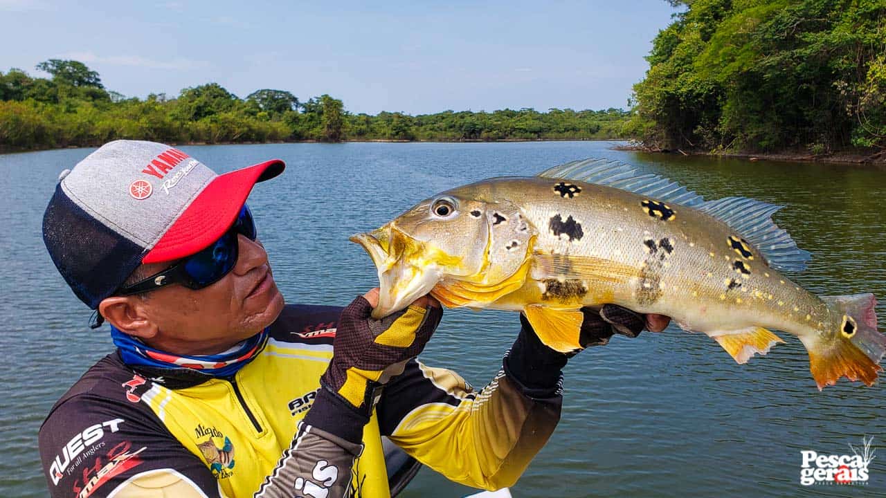 Pescaria no Rio Sucunduri - Amazonas, operação Aracu Camp. Peixes Tucunarés, Aruanãs, Jacundás, Pirarara, Pirarucu e outros.