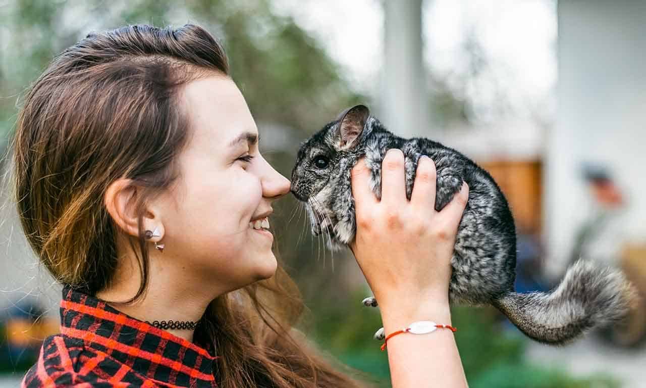 criança com uma chinchila