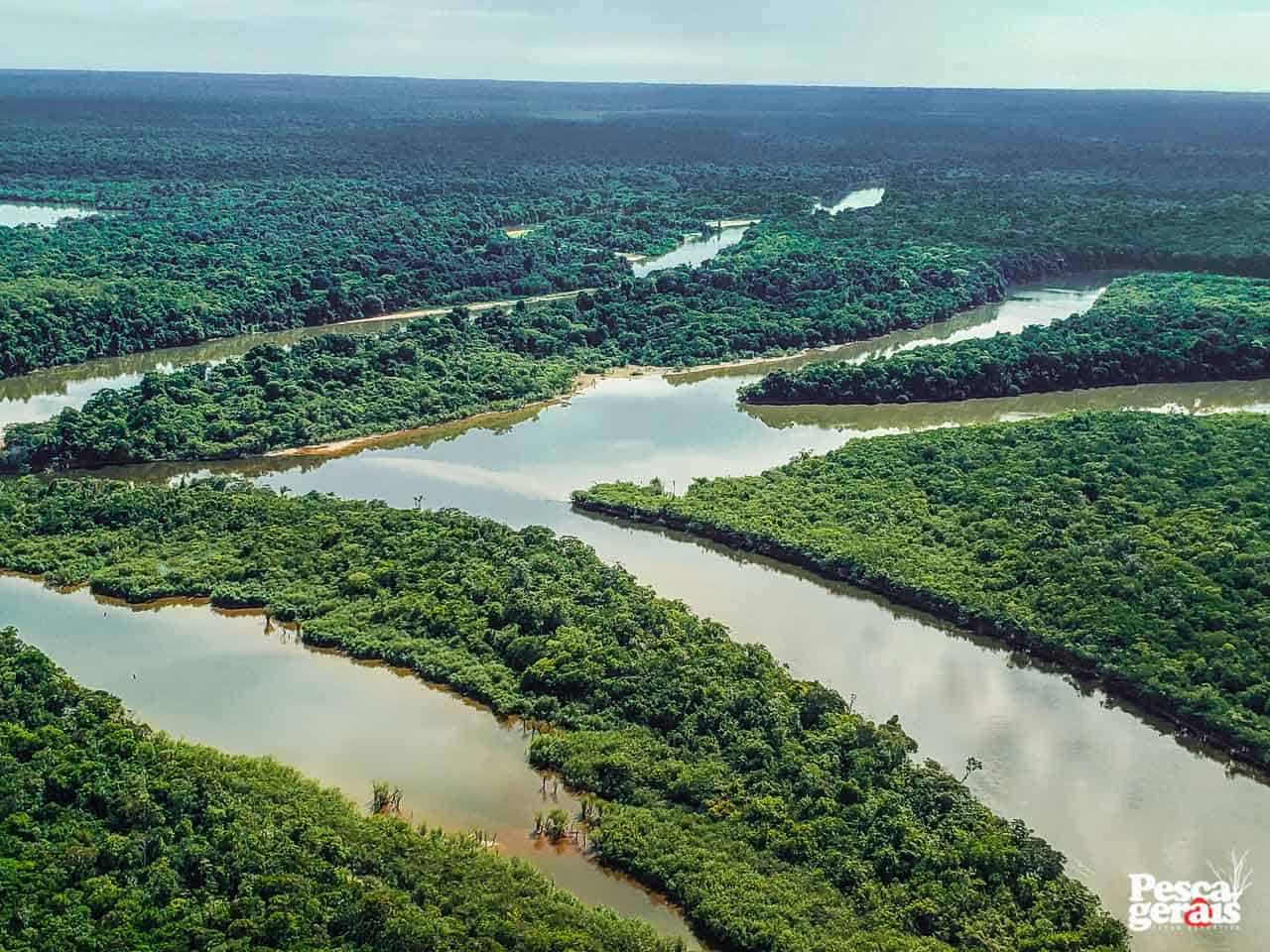 Rios na Amazônia