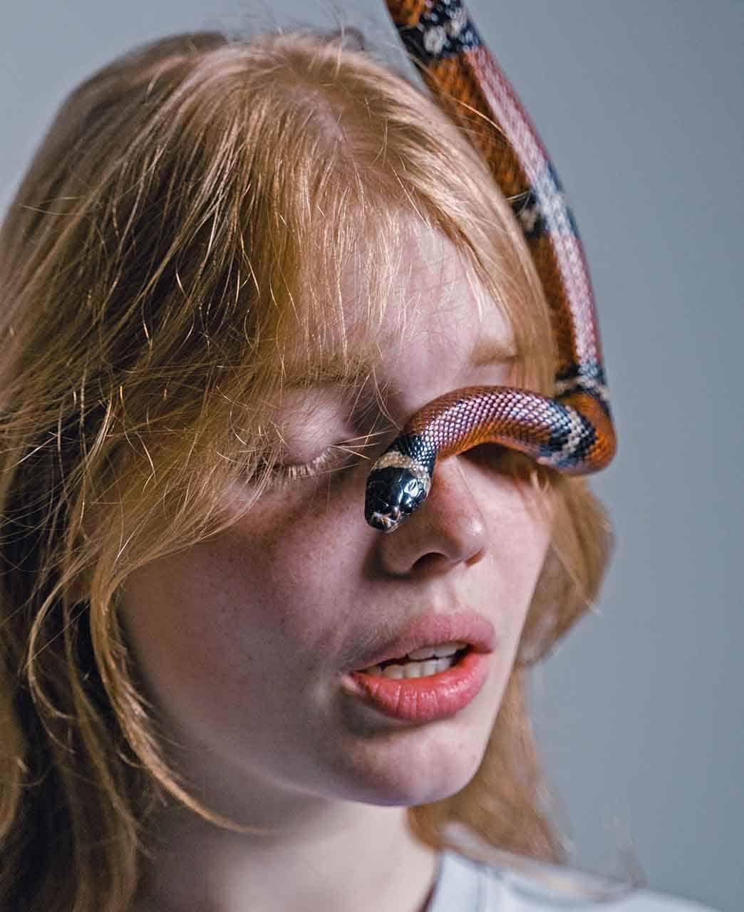 o que significa sonhar com cobra