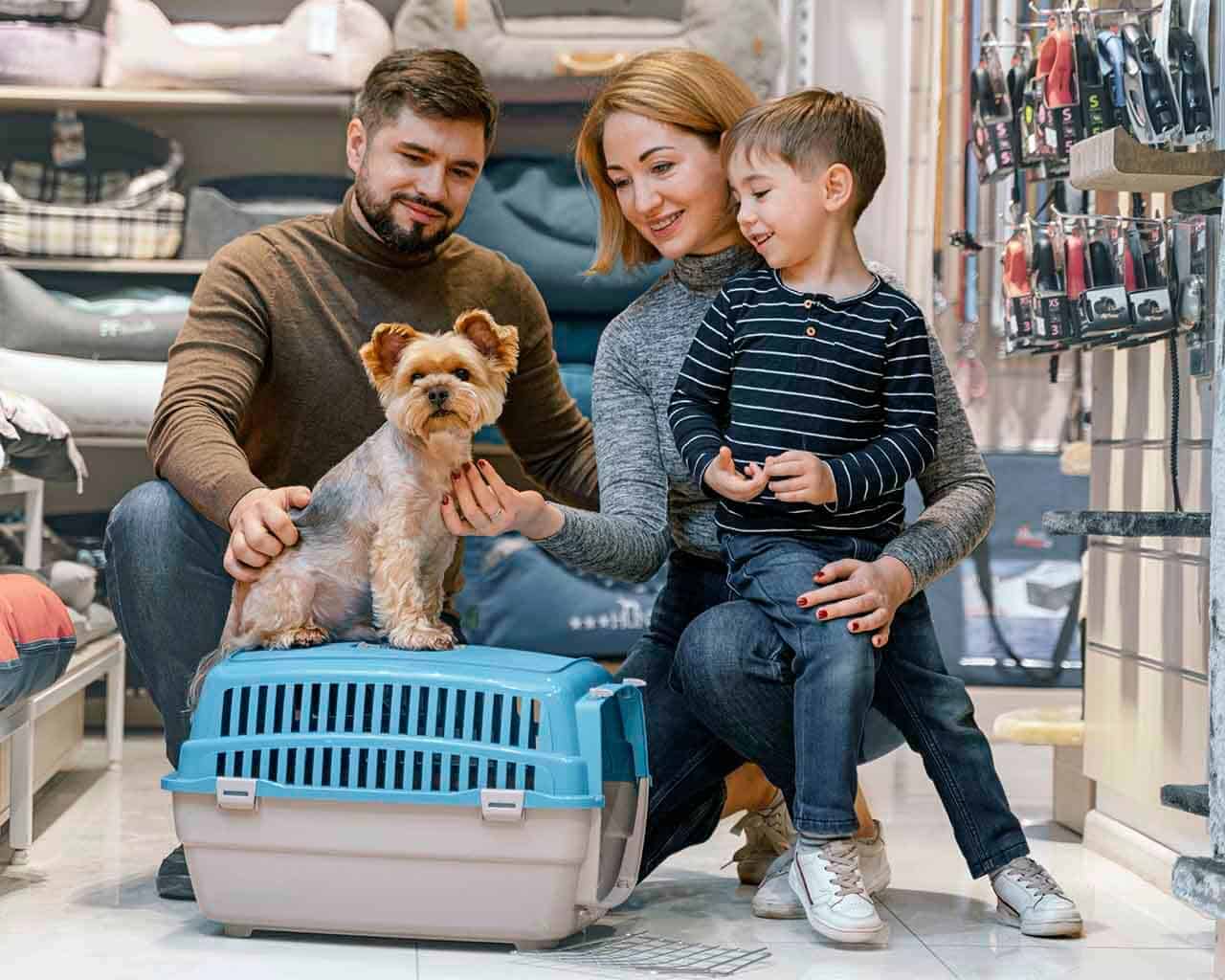 Pet shop: cada vez mais populares oferecendo produtos e serviços ao seu animal 6 pet shop