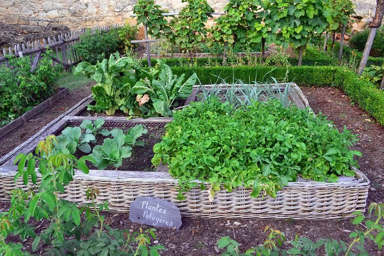 Porque ter uma horta em casa e como fazer uma horta vertical e mandala 6 horta