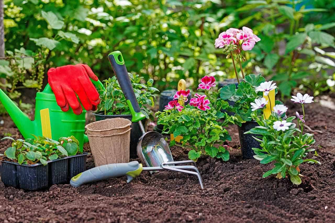 O que é jardinagem, o que faz um serviço, qual objetivo e como iniciar 7 ferramentas para jardim