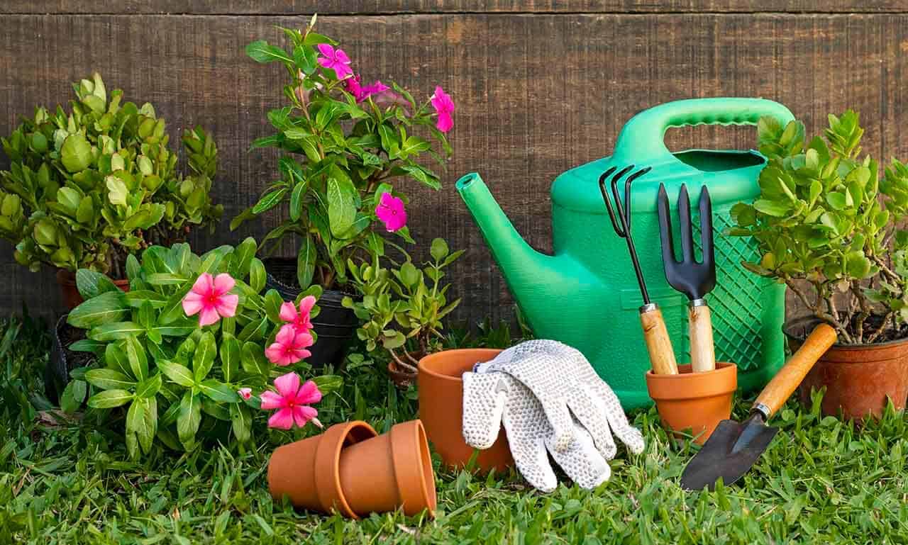 Como cultivar um jardim vertical e ideias de plantas para os ambientes 8 jardim de inverno