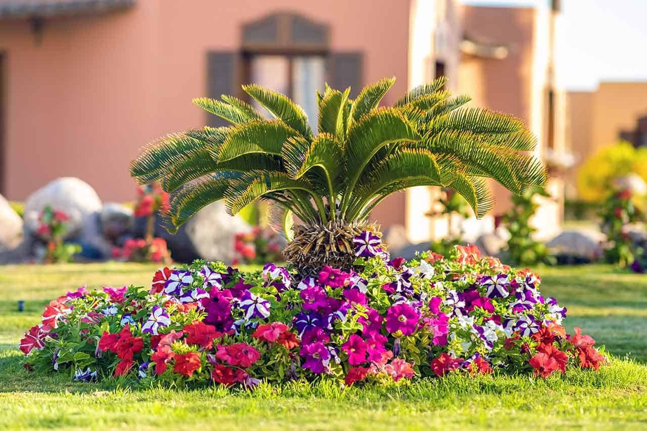 Como cultivar um jardim vertical e ideias de plantas para os ambientes 7 plantas e flores