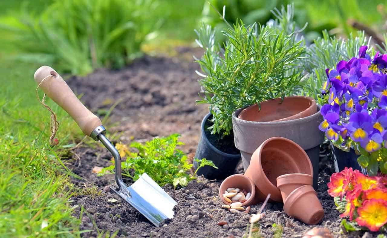 Como cultivar um jardim vertical e ideias de plantas para os ambientes 6 como jazer um jardim