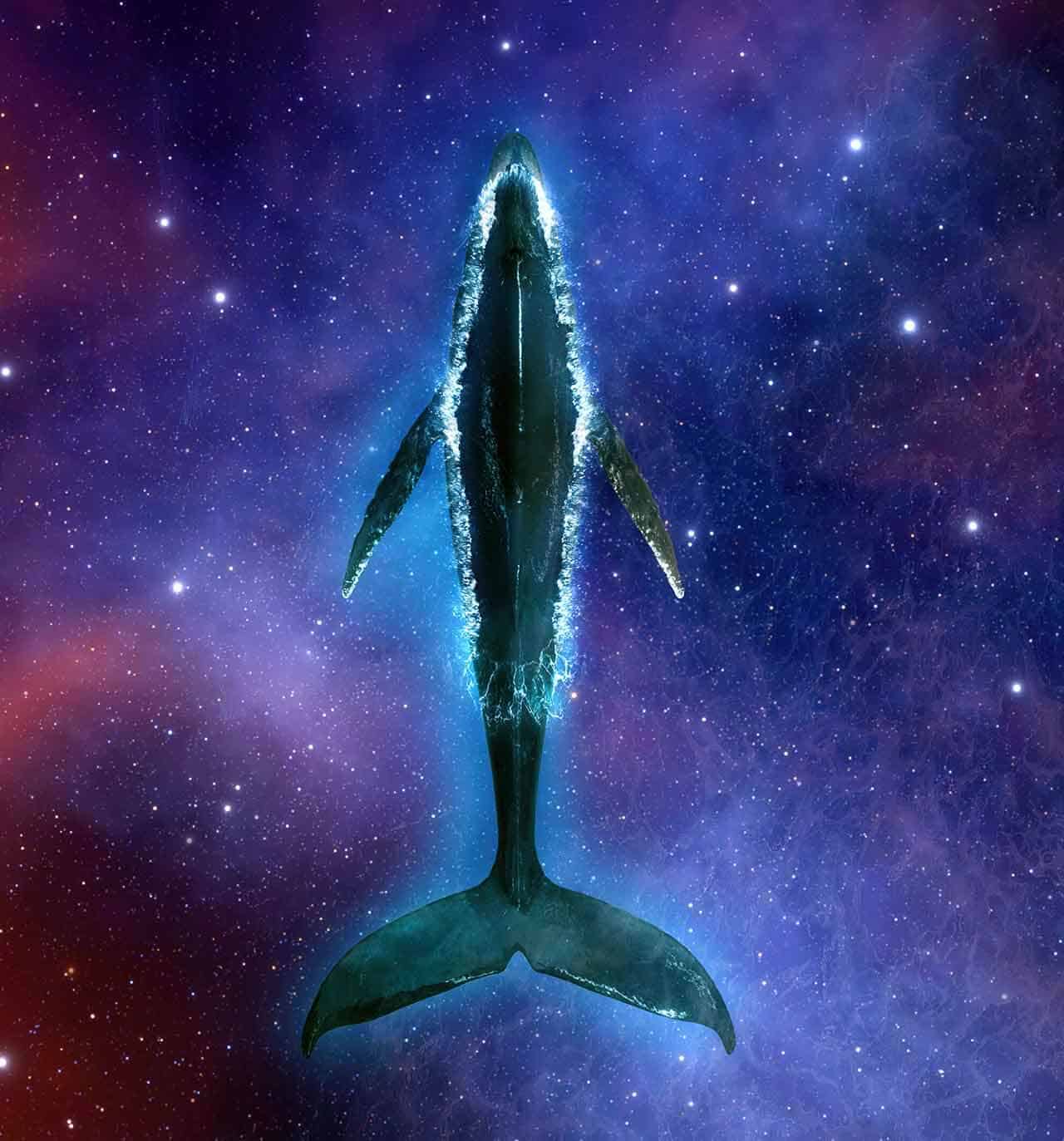 O que significa sonhar com peixe? Vivo, morto, grande, fora d´água 6 sonhos com peixes