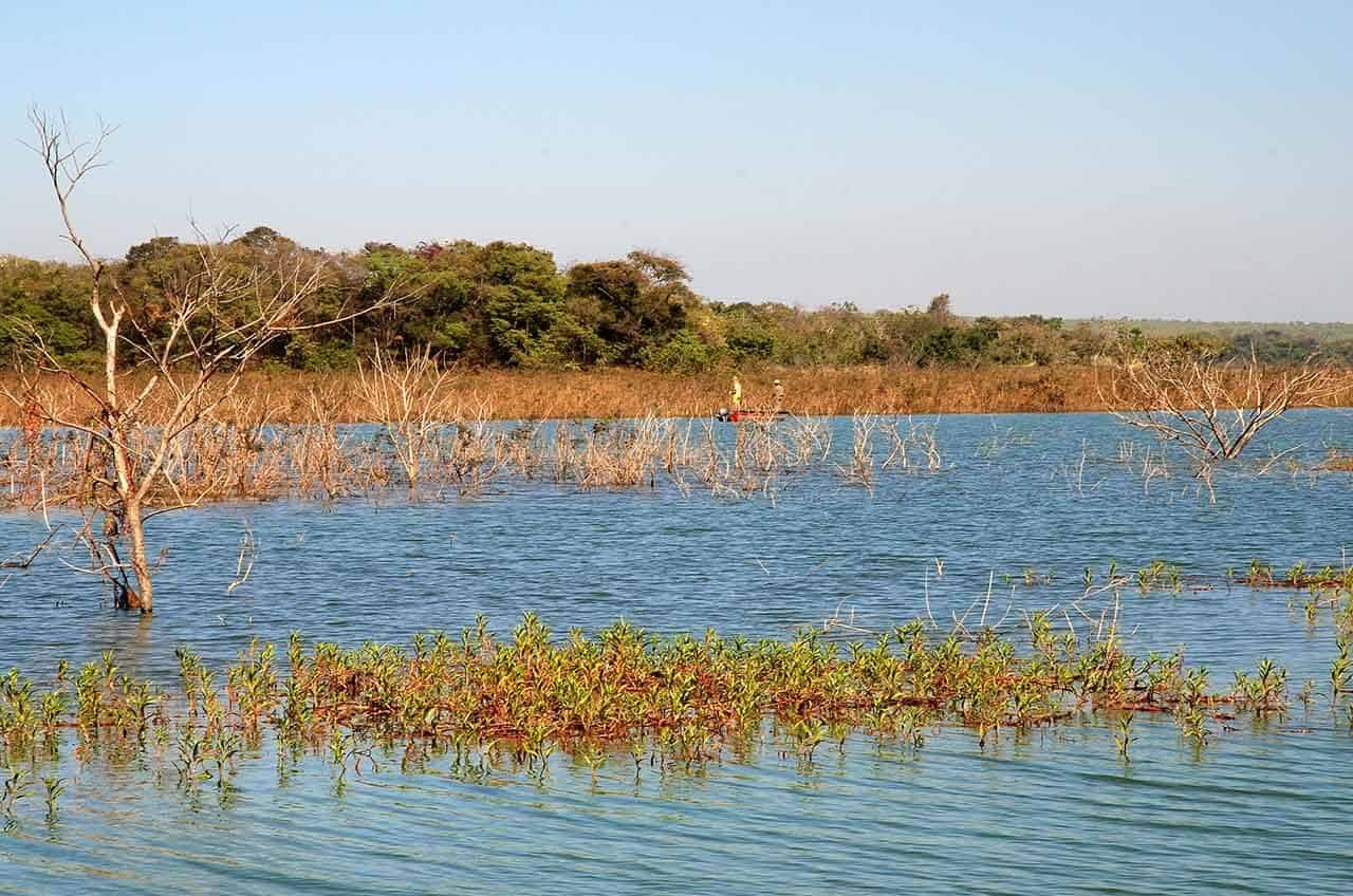 Pesca em locais rasos: dicas sobre tonalidade da água, escolha da isca 4 pesca em locais rasos