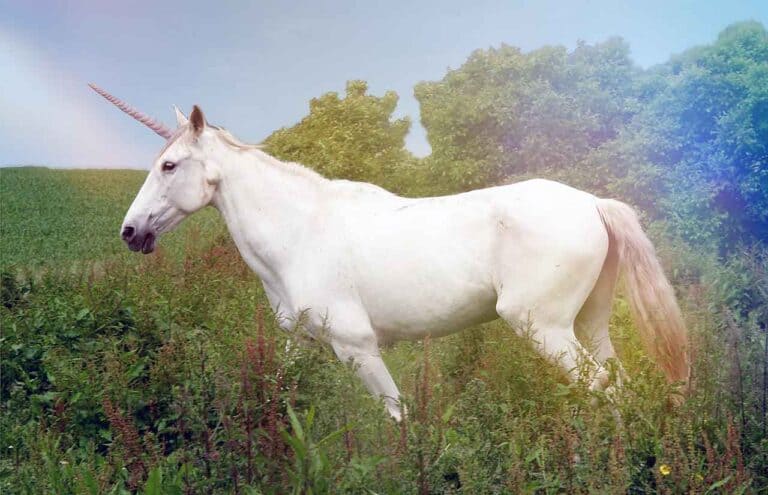 O que é um unicórnio? Quando ocorreu? Realmente existiram?