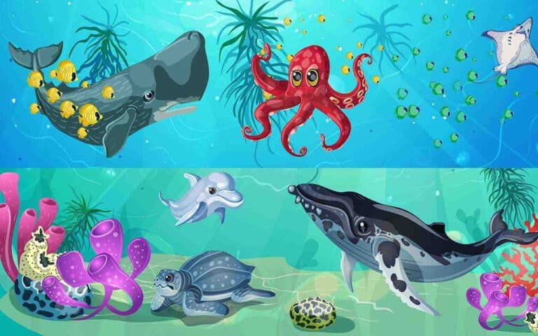 Animais aquáticos: conheça e entenda mais sobre as espécies