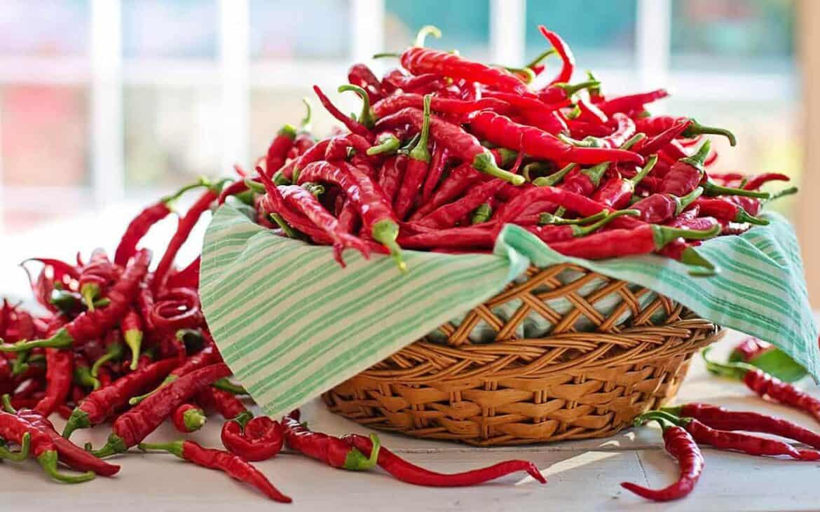 Sonhar com Pimenta: É bom ou ruim? Quais os significados?